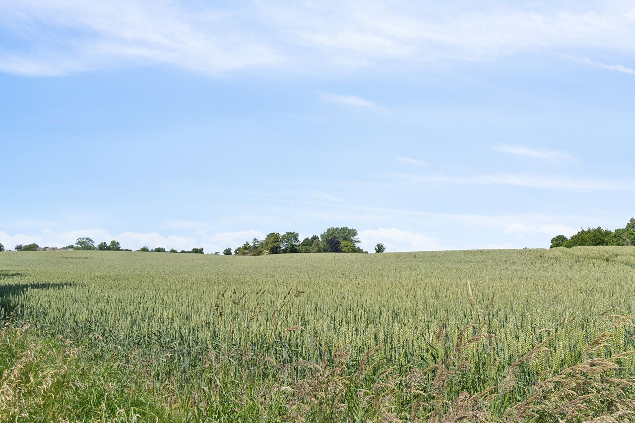 image 03
